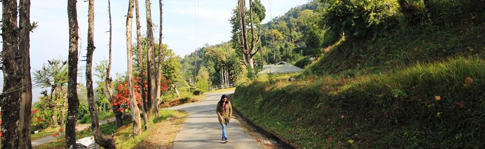 Welcome to He Bermiok - Hotel Kanchan View